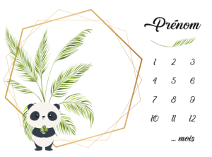 Couverture d’étape n°12