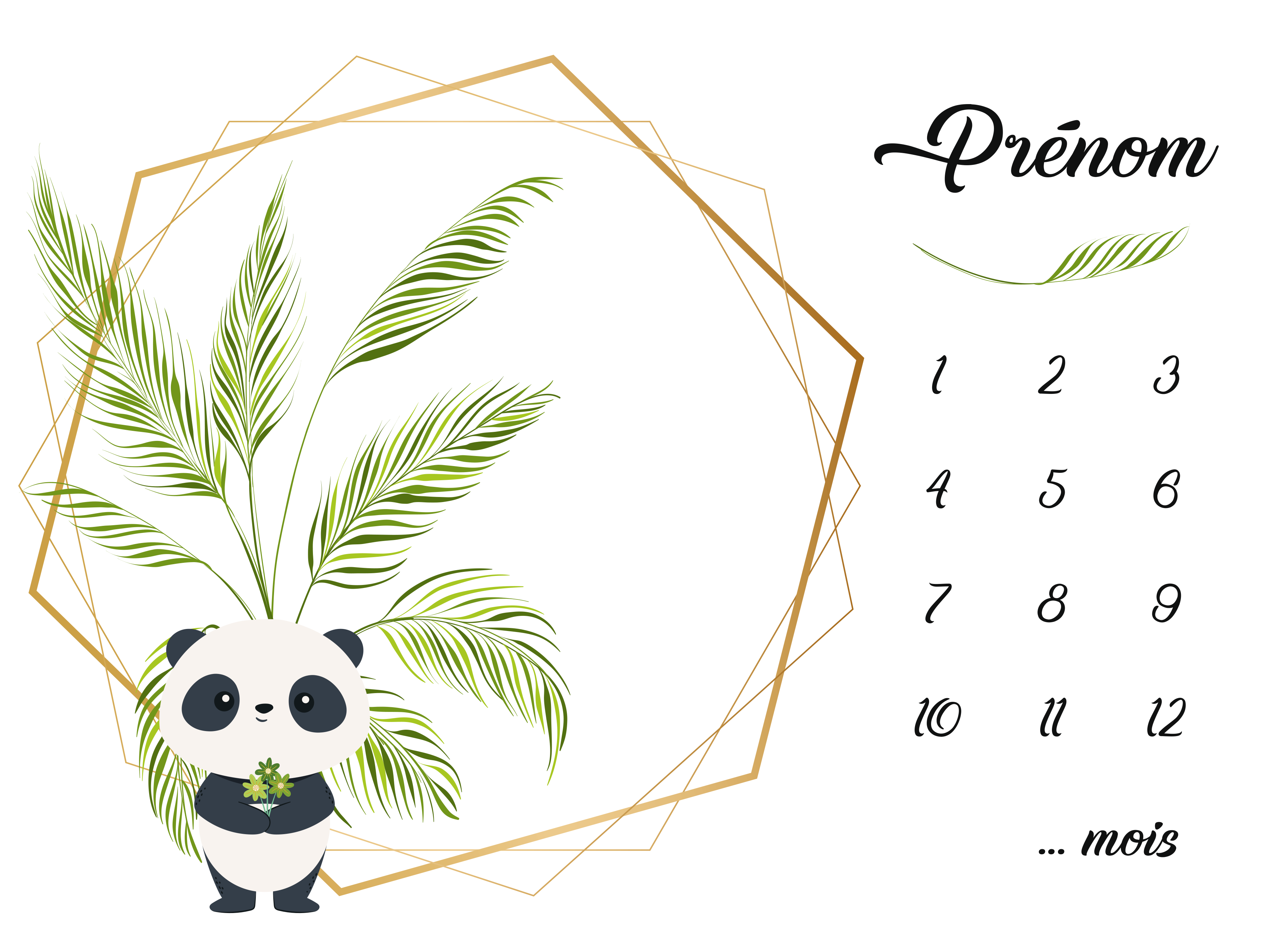 Couverture d’étape n°12