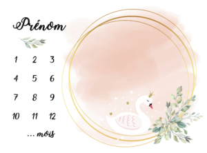 Couverture d’étape n°14