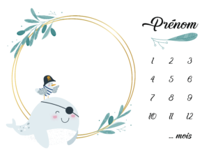 Couverture d’étape n°15